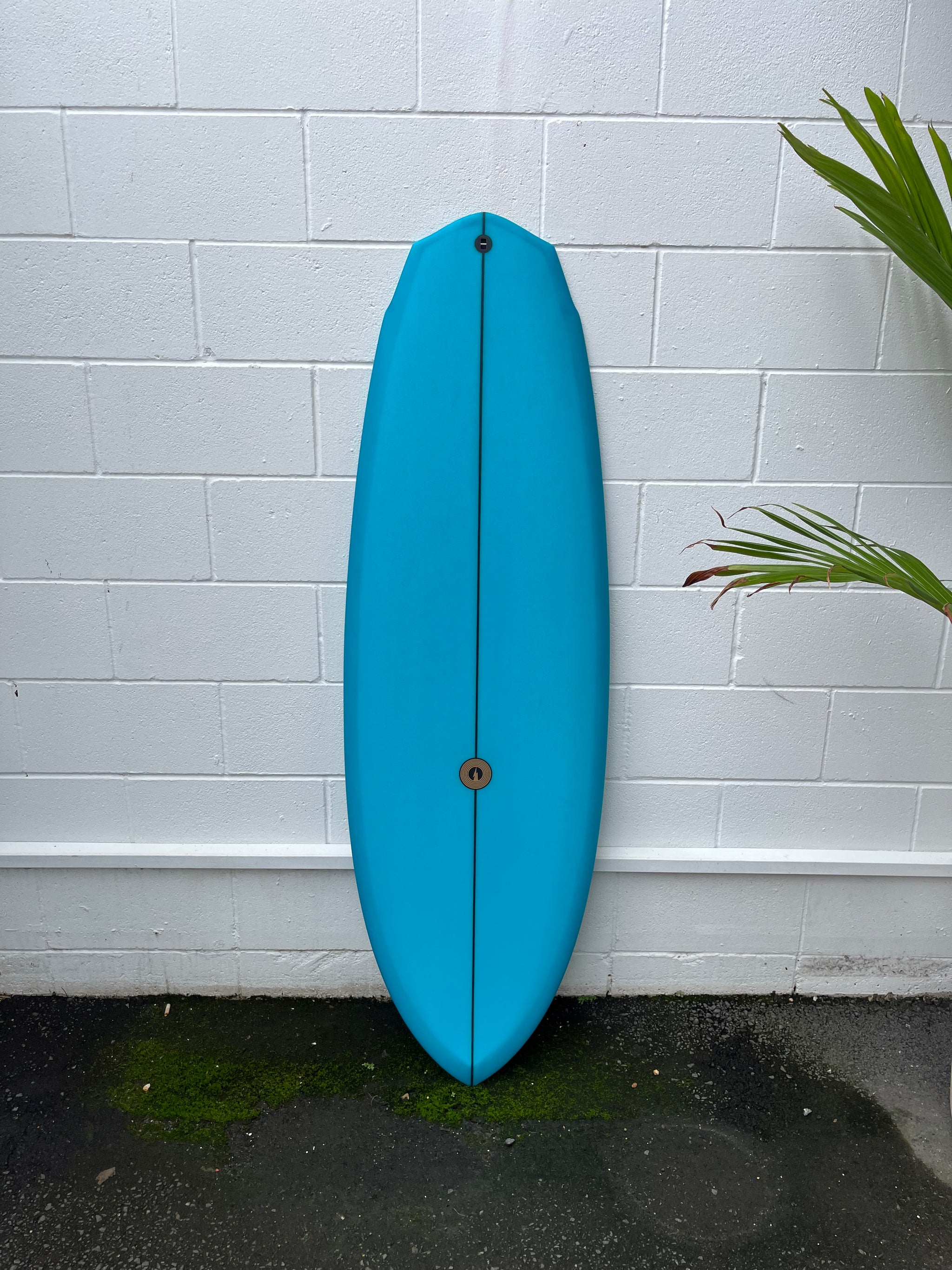 Plasmic – Album Surf | Australia